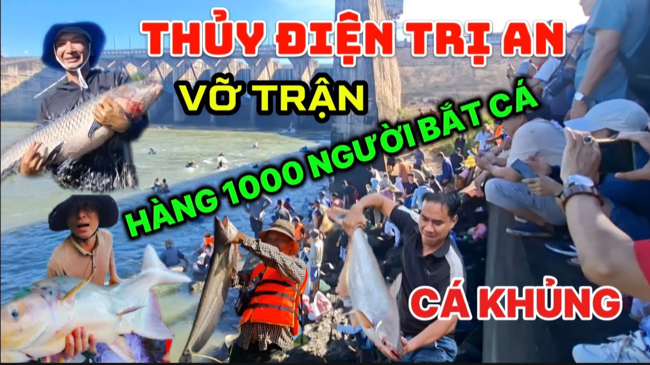Hàng ngàn người lao xuống dòng sông nước chảy siết để bắtCá Khủng khi đập thủy điện TrịAn đóng tràn 