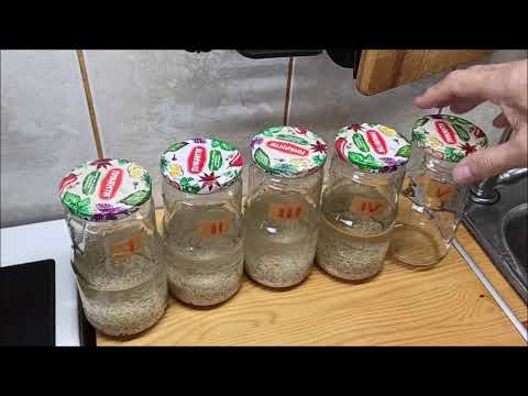 Очищение организма рисом в домашних условиях рисом