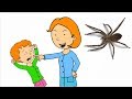 Rosie pinches Daisy/Doris releases THE SPIDER