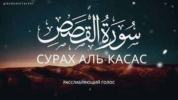 Сура Аль-Касас  («Истории») | Успокаивающее чтение Корана سورة القصص
