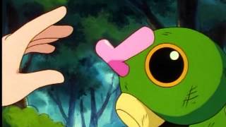 Misty touches Caterpie