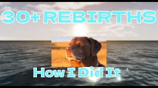 How I got Over 30 Rebirths in FlashPoint: Worlds Collide