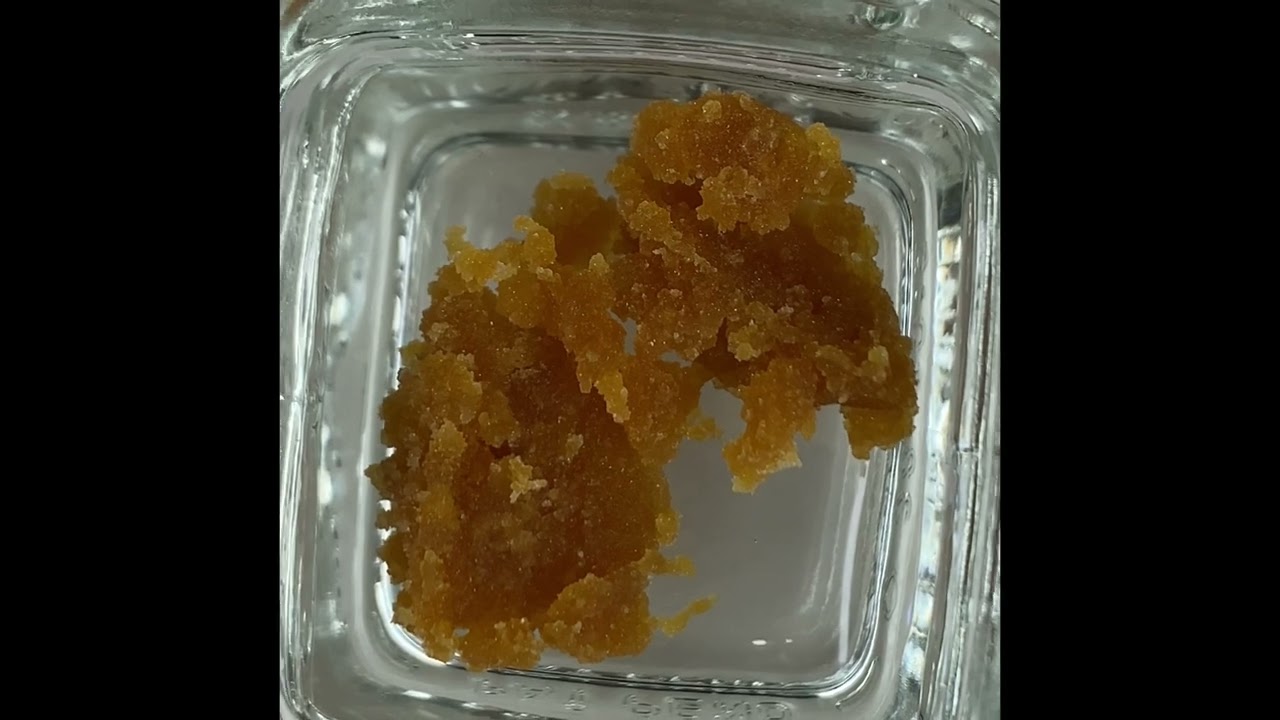 Grassroots Polar Express Live Sugar Review