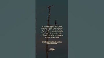 سورة البقرة الآية رقم 217 بصوت مشاري راشد العفاسي مع الترجمة الإنجليزية #القران #لايك #اكسبلور