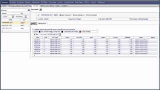Workforce Time   Editing an Employee Accrual Balance