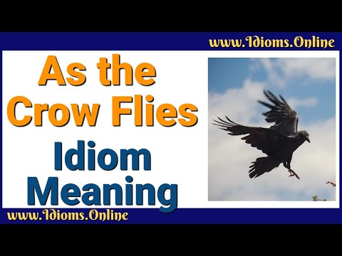 Video: Crow Count: The Meaning Of Phraseological Unit, Origin, Synonyms