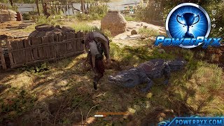 Assassin's Creed Origins - Circle of Life Trophy / Achievement Guide