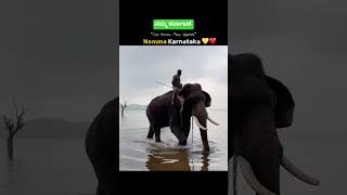 Happy Kannada Rajyotsava