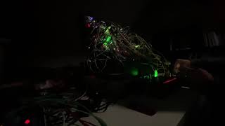 Modular discoveries.