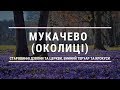 Мукачево (околиці) - старовинні дзвони, дерев&#39;яна церква, винний теруар та парк крокусів