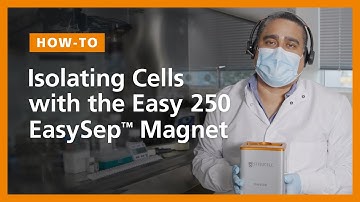 How to Isolate Immune Cells from Large-Volume Samples Using the Easy 250 EasySep™ Magnet