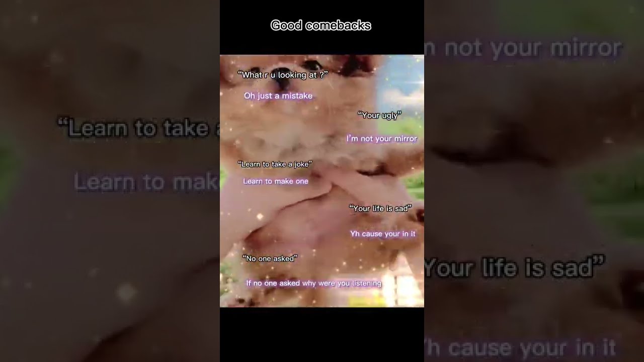 Good Comebacks Pt 2 