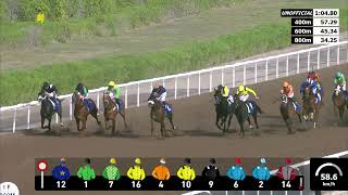 Vidéo de la course PMU PRIX JEBEL ALI CLASSIC (SPONSORED BY SHADWELL)