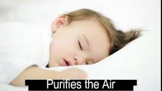 Have A Good Night Sleep Sleep Well