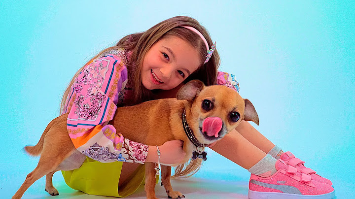 VOGLIO UN CANE - AMELI (Official music video)