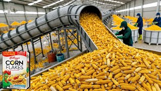 How Cornflakes Are Made in a Factory | Step-by-Step Production Process