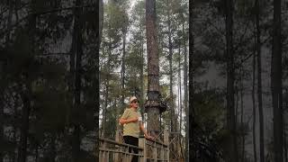 secangkir kopi #short