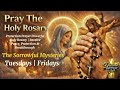 Holy Rosary for Divine Protection | Cover Your Family Today | Sorrowful Mysteries Tuesdays | Fridays