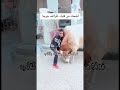 فعلا مش بالجسم ده بالقلب 