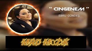 Ebru Gündeş - Çingenem Remix