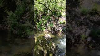 Cascada Campaíñas, Pontevedra (España)