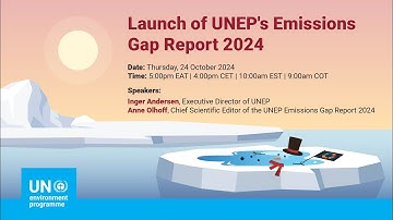 Launch of UNEP