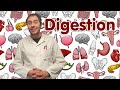 Action mcanique et chimique de la digestion