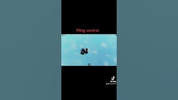 Fling control (#flingcontrol) (re-upload)