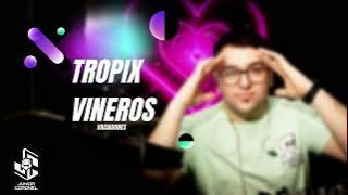 TROPIX VINEROS PARA PREVIA - PARTE 1 - DJ JUNIOR CORONEL 2024