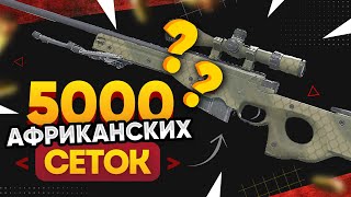 :  5000 AWP |     2.    KATOWICE 2014   -150