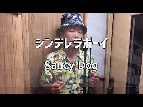 シンデレラボーイ/Saucy Dog【歌ってみた】