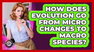How Does Evolution Go From Micro Changes To Macro Species? - The Everyday Why