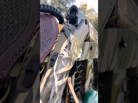 Why This Mossberg Shotgun Is So Popular