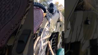 Why This Mossberg Shotgun Is So Popular