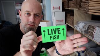 Can You (Should You) Order Live Fish Online?
