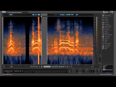 Ambience Match & Spectral Repair in RX 5 Advanced Audio Editor | Before and After Audio Example