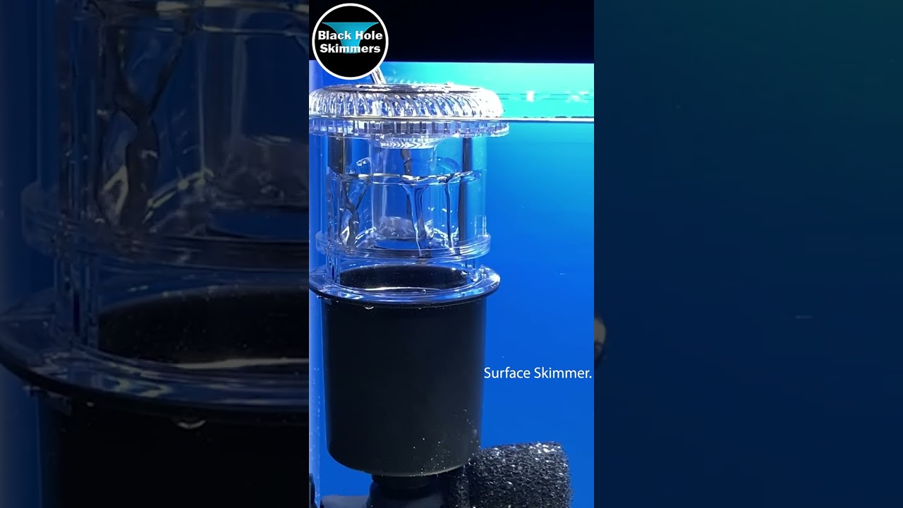 Aquarium Surface Skimmer | Aquarium Internal Filter | Black Hole Skimmers