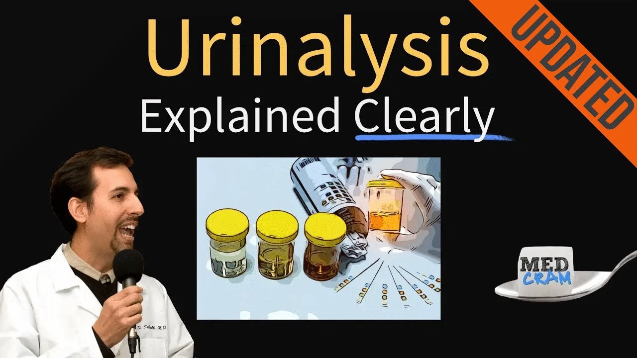 Urinalysis Interpretation Explained Clearly - Glucose & Ketones in Urine UPDATED November 18th, 2025