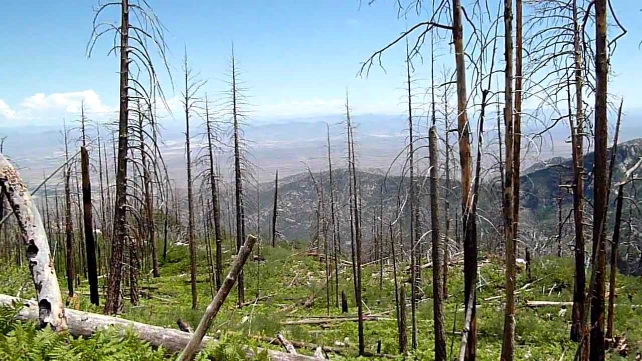 lake arcadia mountain bike trails