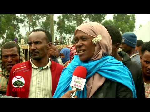 Godina Wallagga Bahaa Aanaa Gobbuu Sayyootti Maatiin Harka Qalleeyyii Deeggaraman