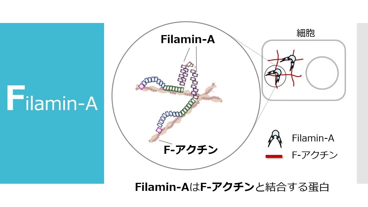 プレスリリース　2022年5月27日