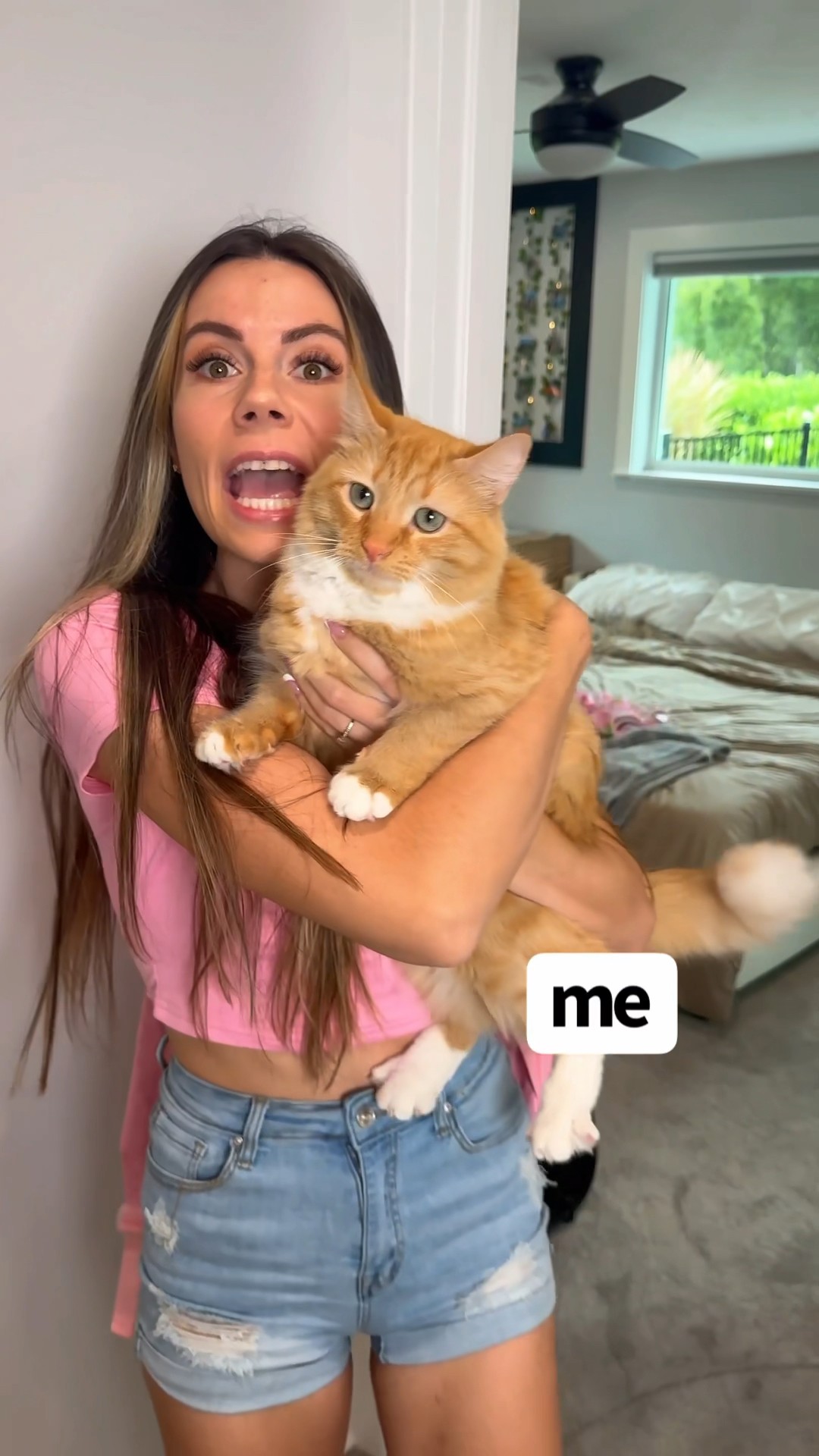 WHEN YOU WANT TO BRING YOUR SCHOOL TO YOUR CAT