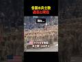 兵士数が多い国&過去と現在 Part1 #shorts #軍事 #行進 #ww2 # 兵士 #アメリカ #ロシア #ドイツ #日本 #比較