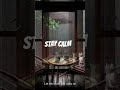 STAY CALM...