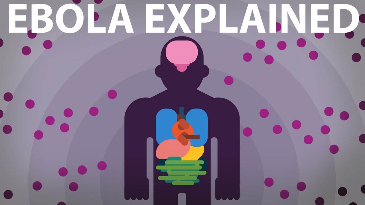 ⁣The Ebola Virus Explained — How Your Body Fights For Survival