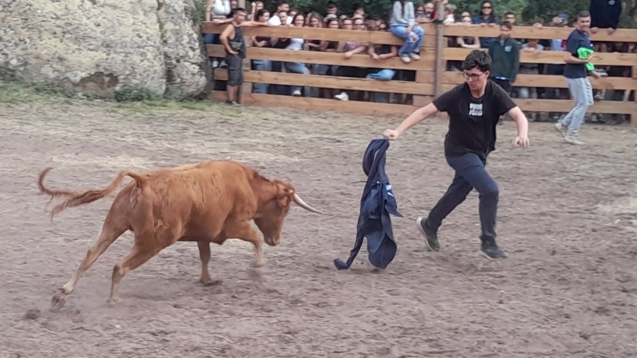 🎅 Toros en Chequilla 2025 - Exhibición de cortes y suelta de Vacas de la ganadería Raúl González 🎄 ✨