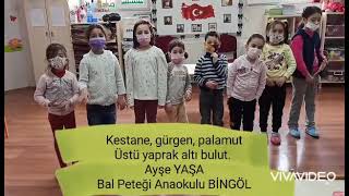 Doğa Sanat Ve Çocuk / Orman Ne Güzel Şarkısı