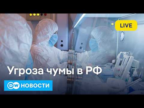Youtube видео