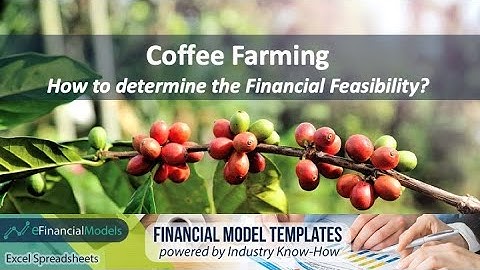 Coffee Farming  - How to determine the Financial Feasibility?