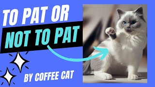 WHEN TO PAT YOUR CAT   WHEN NOT TO PAT YOUR CAT and HOW TO DO IT BEST  #ai #cats